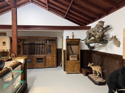 HY-ND ARMS …New Gun Room - Image 5 of 15