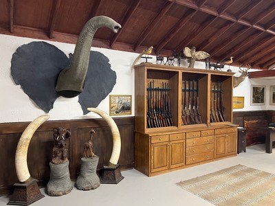 HY-ND ARMS …New Gun Room