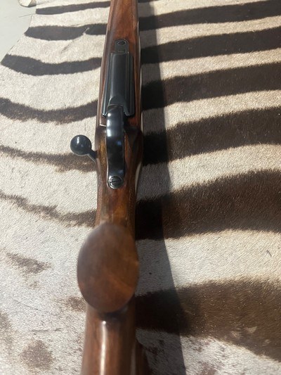 HY- ND ARMS custom 416 Rigby - Image 6 of 11