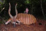 J/B Adventures & Safaris - Image 9 of 10