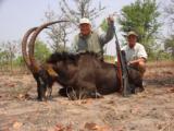 J/B Adventures & Safaris - Image 8 of 10