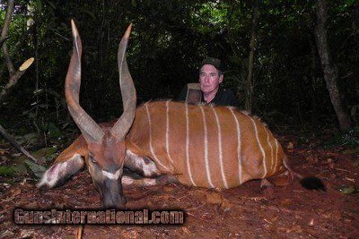J/B Adventures & Safaris - Image 9 of 10