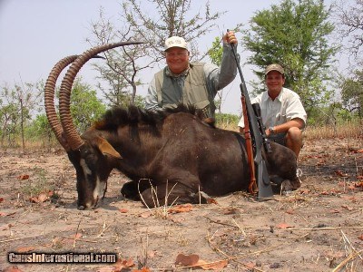 J/B Adventures & Safaris - Image 8 of 10