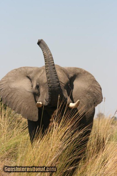 TANZANIA CANCELLATIONJ/B ADVENTURES & SAFARIS - Image 2 of 3