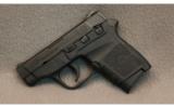 Smith & Wesson ~ Bodyguard ~ .380 ACP - 1 of 2
