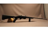 Savage ~ 11 ~ .243 Winchester - 1 of 10