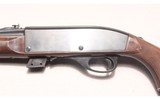 Remington ~ Nylon 66 ~ .22LR - 4 of 10