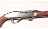 Remington ~ Nylon 66 ~ .22LR - 8 of 10
