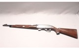Remington ~ Nylon 66 ~ .22LR - 2 of 10