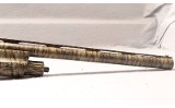 Retay ~ Gordion ~ 12GA - 6 of 9