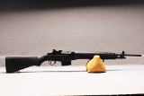 Springfield Armory M1A - 1 of 13