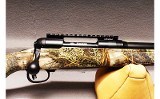 Savage Arms 10 243 Win - 3 of 10