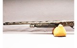 Stoeger Turkey P3000 12Ga - 6 of 8
