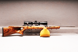 Savage 93R17 17HMR - 1 of 10