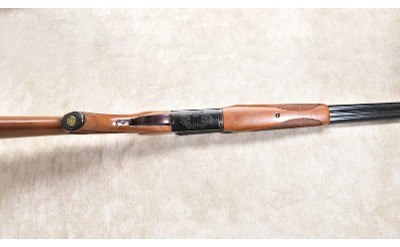 SAVAGE FOX ~ BSE ~ 20 GAUGE - Image 6 of 11