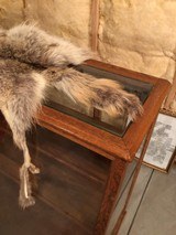 Coyote Pelt - 2 of 4