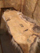 Coyote Pelt - 3 of 4