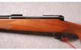 Winchester 70 Cabela's Limited Edition in 257 Rob - 4 of 9