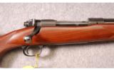 Winchester Model 70 Standard in 375 H&H Magnum - 2 of 8