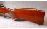 Winchester Model 70 in .243 Winchester - 7 of 8