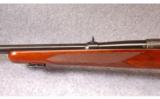 Winchester Model 70 in .243 Winchester - 6 of 8