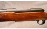 Winchester Model 70 Varmit .243 Win - 4 of 7