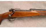 Winchester Model 70 Varmit .243 Win - 2 of 7
