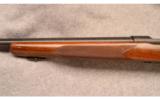Winchester Model 70 Varmit .243 Win - 6 of 7