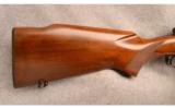 Winchester Model 70 Varmit .243 Win - 5 of 7