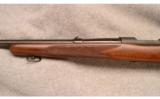 Winchester Model 70 .257 Roberts - 6 of 7