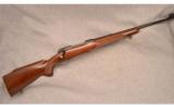 Winchester Model 70 Featherweight .243 Win - 1 of 7