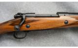 Winchester Model 70 Custom .416 Rigby - 2 of 7