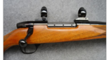 Weatherby Mark V 24