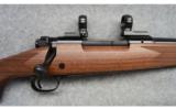 Winchester Model 70 Lt Wt Supergrade 7x57 - 2 of 7