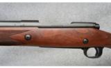 Winchester Model 70 Safari Express .375 H&H Mag - 4 of 8