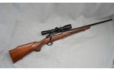 Winchester Model 70 XTR Sporter Varmint, .223 Rem - 1 of 7