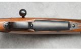 Winchester 70 Custom, .404 Jeffery, Dennis Olson - 3 of 9