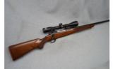 Ruger M 77, .30-06 with Nikon Scope - 1 of 8