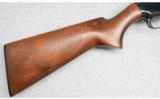 Winchester Model 12, 20-Gauge - 5 of 9