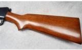 Winchester Model 63, .22 LR - 7 of 9