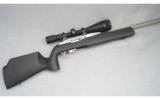 Paul's Precision Custom 10/22 with Scope, .22 Win Mag. - 1 of 9