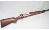 Winchester Model 70, .416 Rem. Mag. - 1 of 9