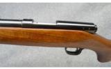 Winchester Model 43 24