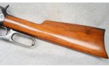 Winchester Model 1895, .35 W.C.F. - 7 of 9