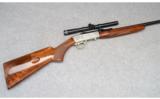 Browning Semi-Auto with Bushnell Scope, .22 LR - 1 of 9