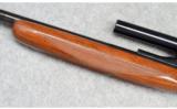 Browning Semi-Auto with Bushnell Scope, .22 LR - 8 of 9