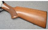 Browning BAR, .243 Win. - 7 of 9