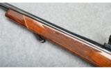 Weatherby Mark V Varmint Master, .22-250 - 9 of 10