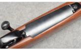 Winchester Model 70, .257 Roberts - 3 of 9