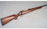 Winchester Model 70, .257 Roberts - 1 of 9